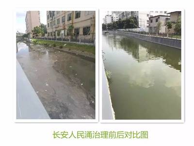 治污攻坚结硕果 吕业升肯定杨志峰院士团队水污染治理成效，科技赋能碧水保卫战