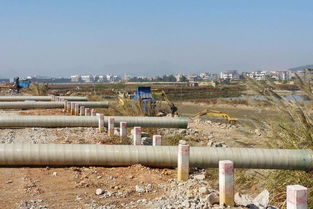 守护生命之源 水污染防治与治理的全民行动