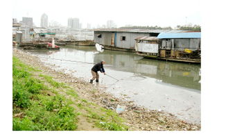 南宁市郁江流域水污染防治条例正式实施，开启水污染治理新篇章