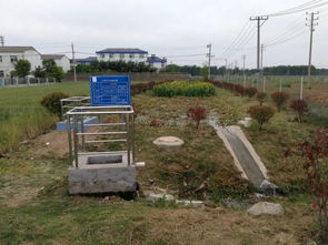 人大代表巡水体 四河乡开展《水污染防治法》执法检查助推水污染治理