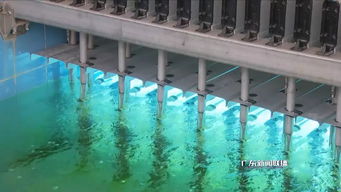 深圳 打好水污染防治攻坚战，守护碧水清流